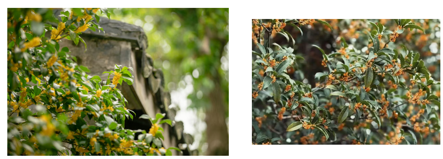 d51b914a6daa26c9c71dbbd410ddeebd