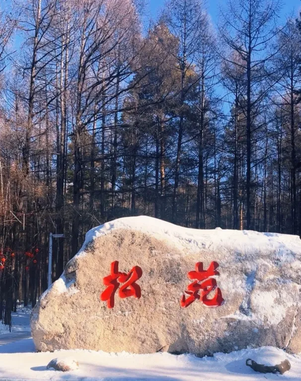 d5529cd93cb7426d276a13283fbd5c8d-sz_1253701