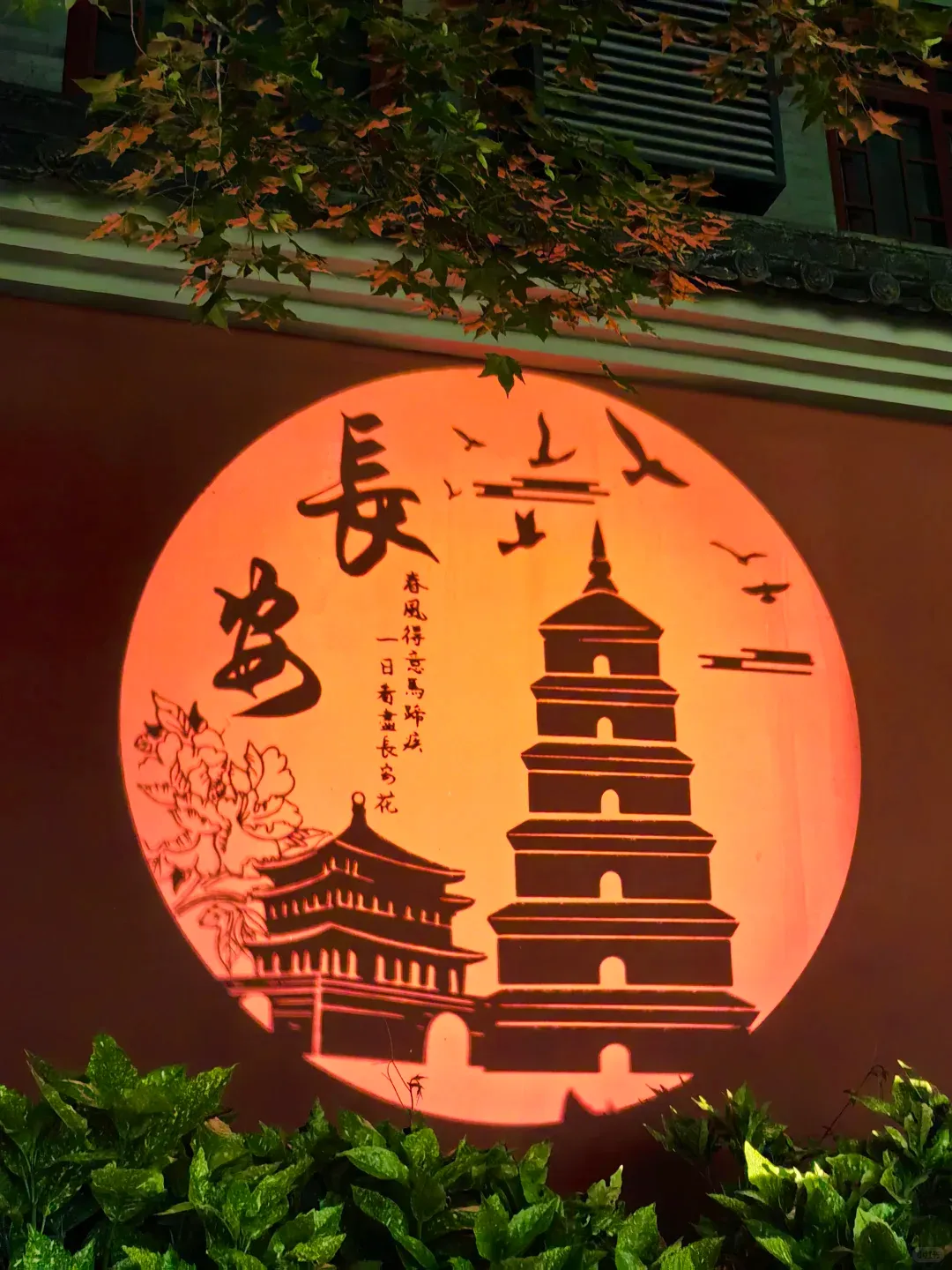 d5607368526bd96af052d22d0f8fdf1c-sz_1463265