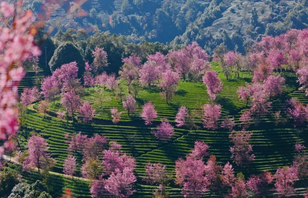 d5802ea491270c39f1ca62b9d273b136-sz_284431 d5802ea491270c39f1ca62b9d273b136-sz_284431