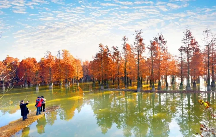 d5cfd214a03a605a88ac486e0b430272-sz_165684