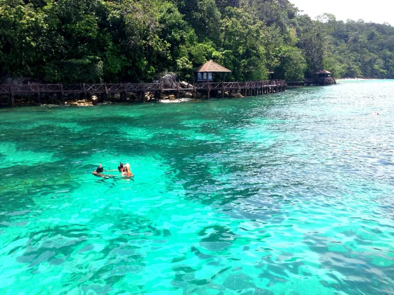 d5fa499d21e549d40813a878986e8f44-sz_1507700