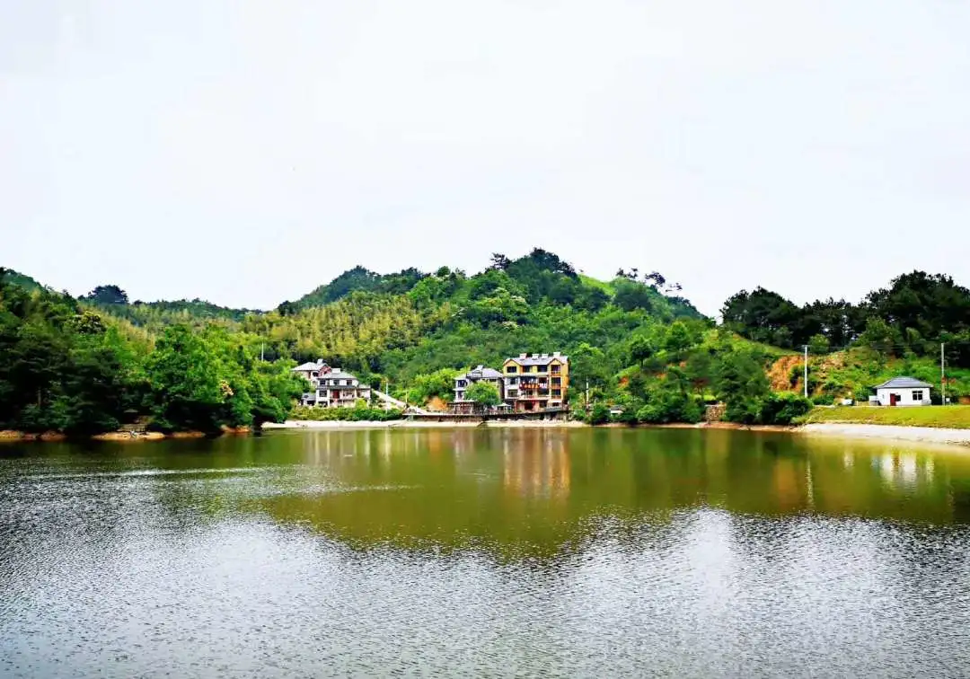 d5fac1160a00ed49770eeba43013cf13-sz_100020