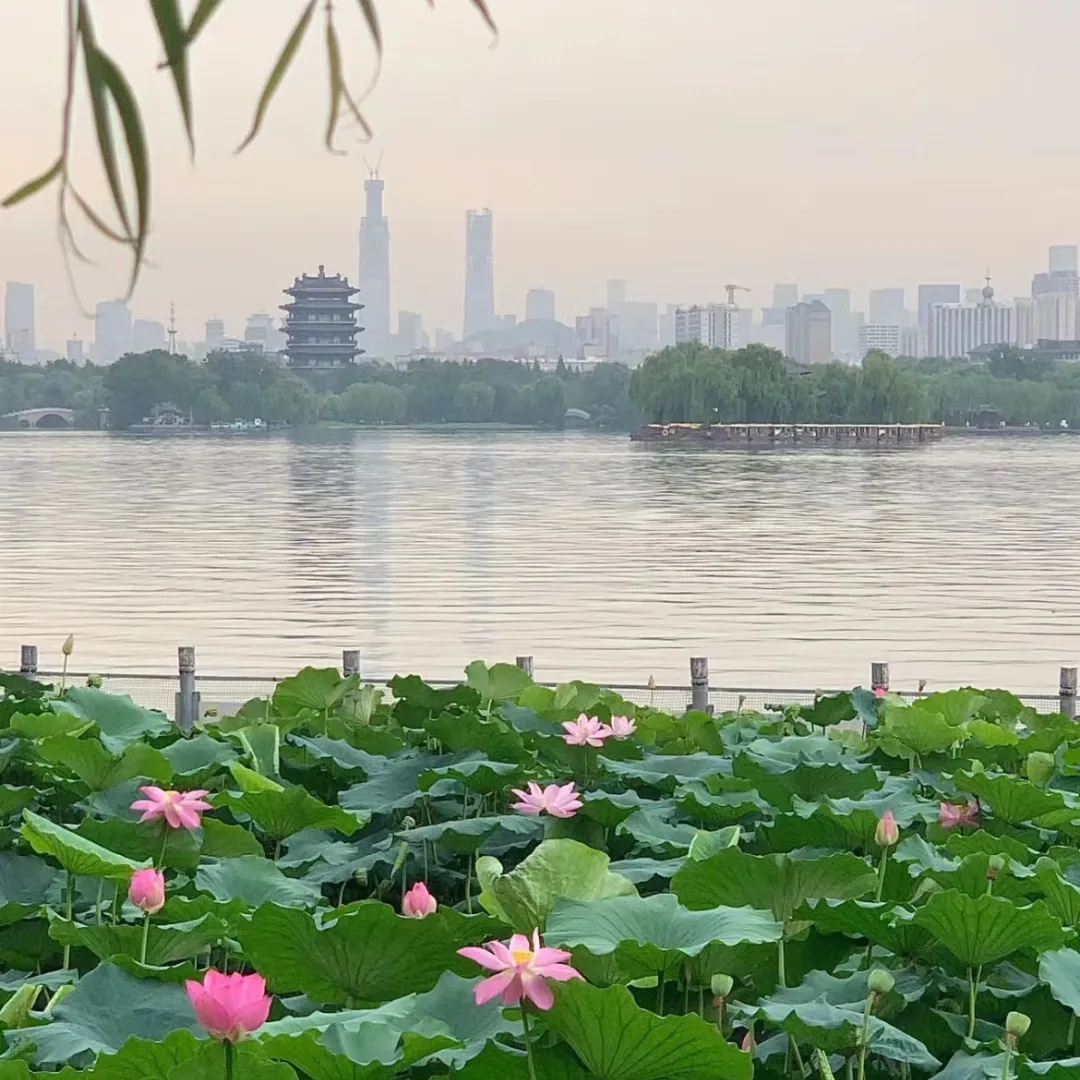 d60a30c7f20890ac4691f25a0ca32bc4-sz_473122