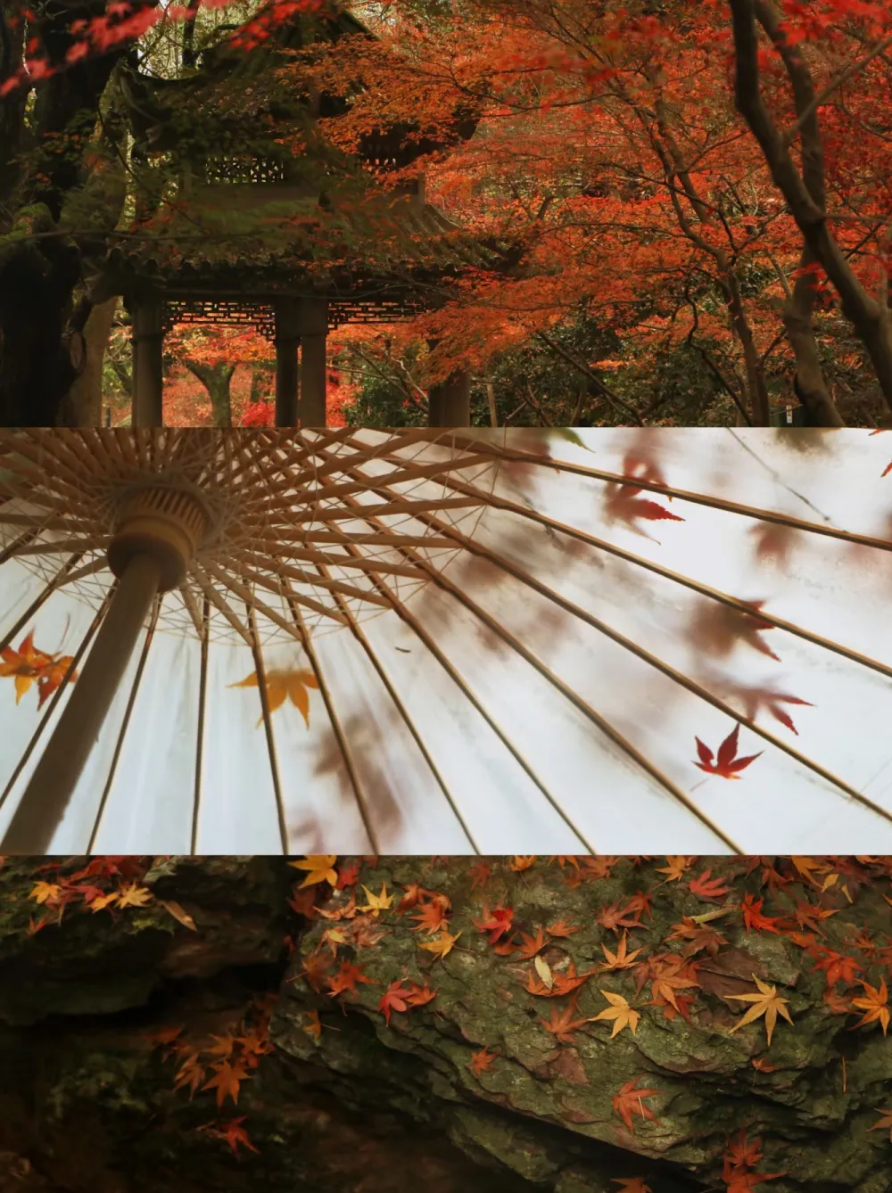 d60edb84d1ff853a186c97bc333f68ee-sz_1578154 d60edb84d1ff853a186c97bc333f68ee-sz_1578154