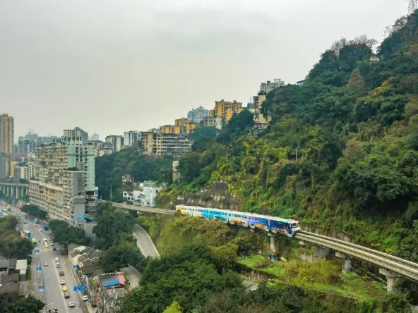 d6266ee18e84526d3b3216981cf07549-sz_733963