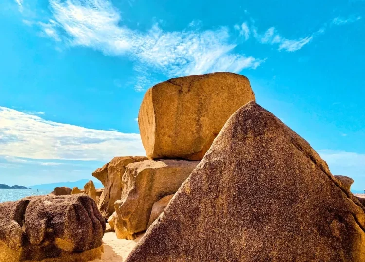 d64567c110af9825012042279fa5a7be-sz_365249 d64567c110af9825012042279fa5a7be-sz_365249