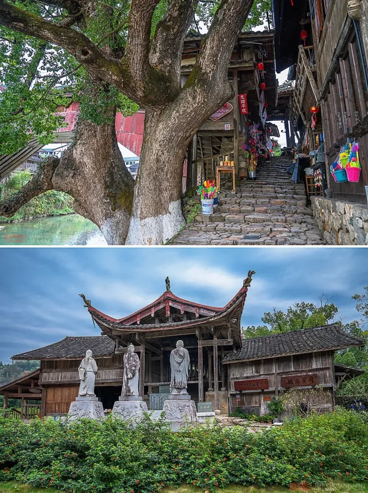 d658469ba08f5dd1b02a56d3250547ea-sz_3921229 d658469ba08f5dd1b02a56d3250547ea-sz_3921229