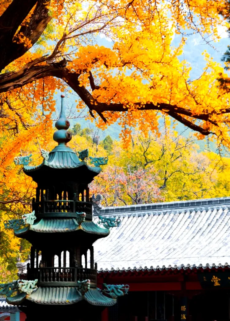 d65c3db9ed56503a334c610d712116ec-sz_2615643 d65c3db9ed56503a334c610d712116ec-sz_2615643