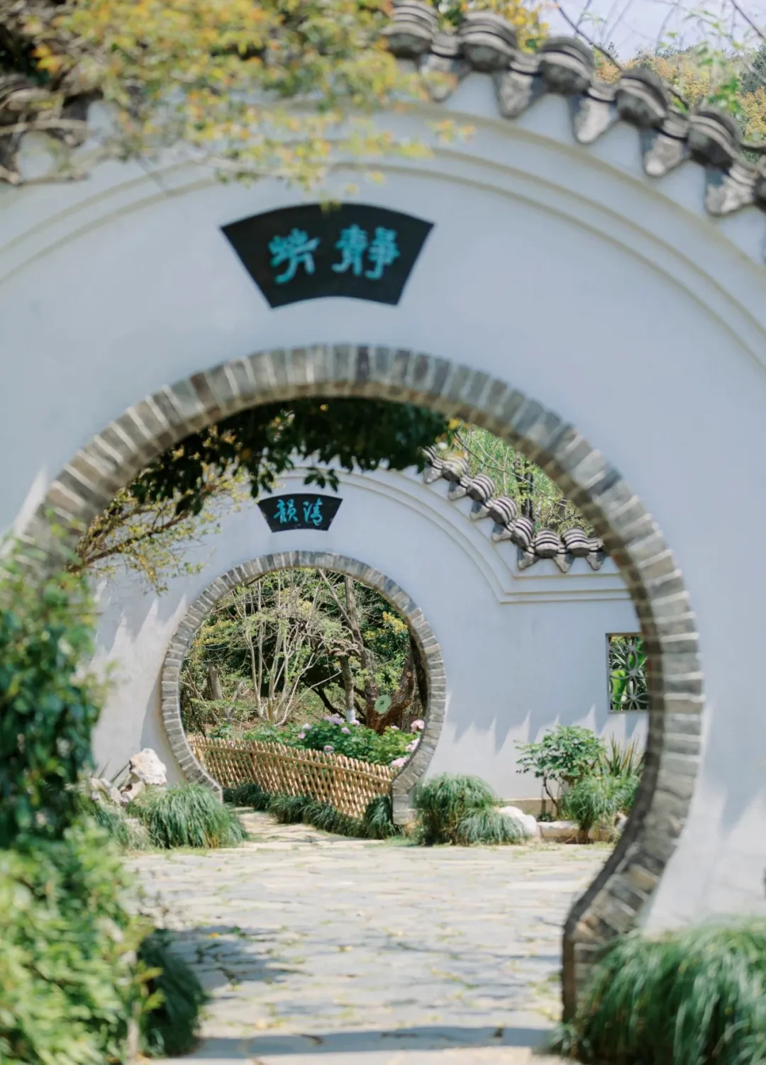 d6897e1bf1d289bf891c614b44535548-sz_297479