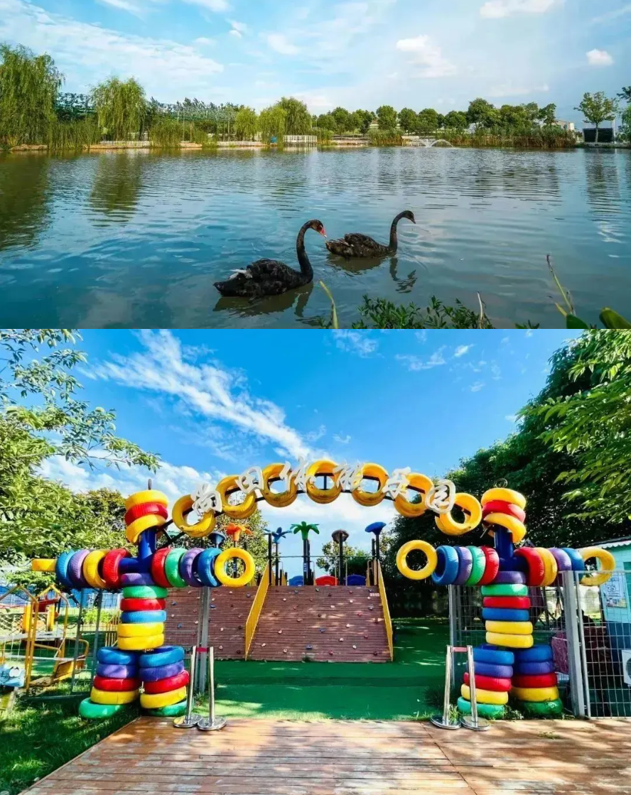 d6957f11c0a3e3c6e1f3134ecec3c2c6