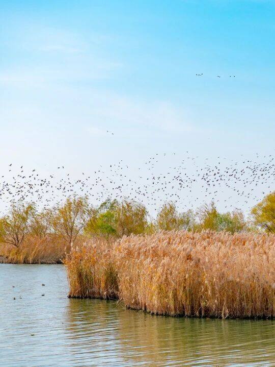 d6a5951aa970fa777e908dea96dd8c14-sz_72546-1 d6a5951aa970fa777e908dea96dd8c14-sz_72546-1