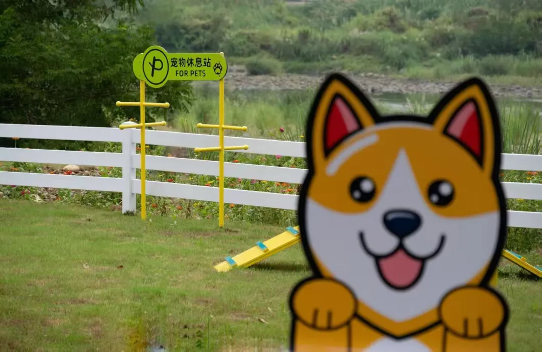 d6c254263041288004fbefa761a3f641-sz_2793075 d6c254263041288004fbefa761a3f641-sz_2793075