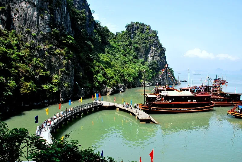 d6c680a3d39a6982b12ea0a225469d26-sz_177641