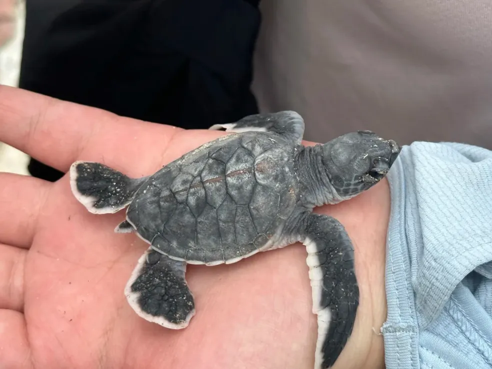 d718f413d0309df36d96604fba3aae0a-sz_853127 d718f413d0309df36d96604fba3aae0a-sz_853127