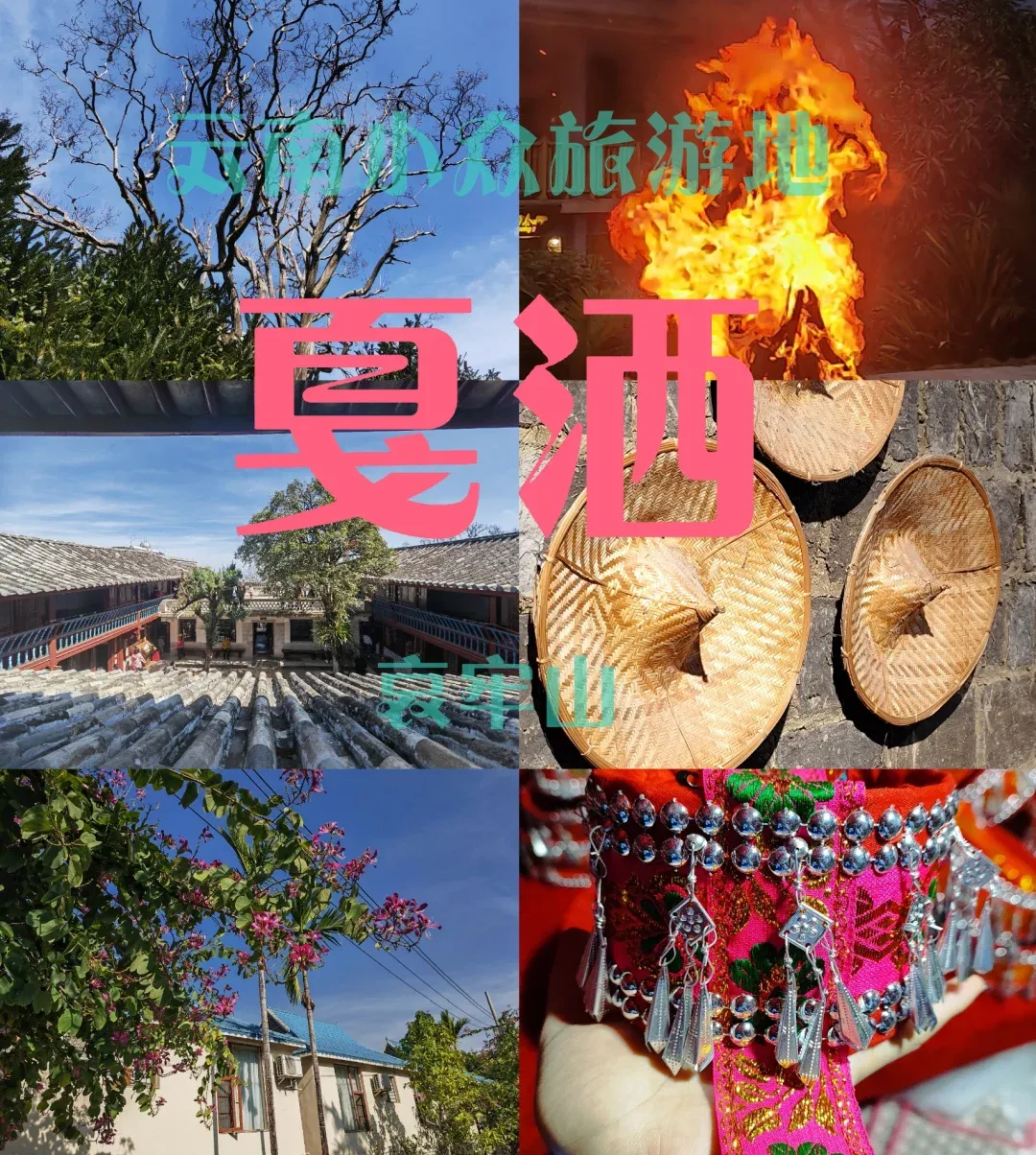 d7196664ac959b748844c311850172bd-sz_4216761