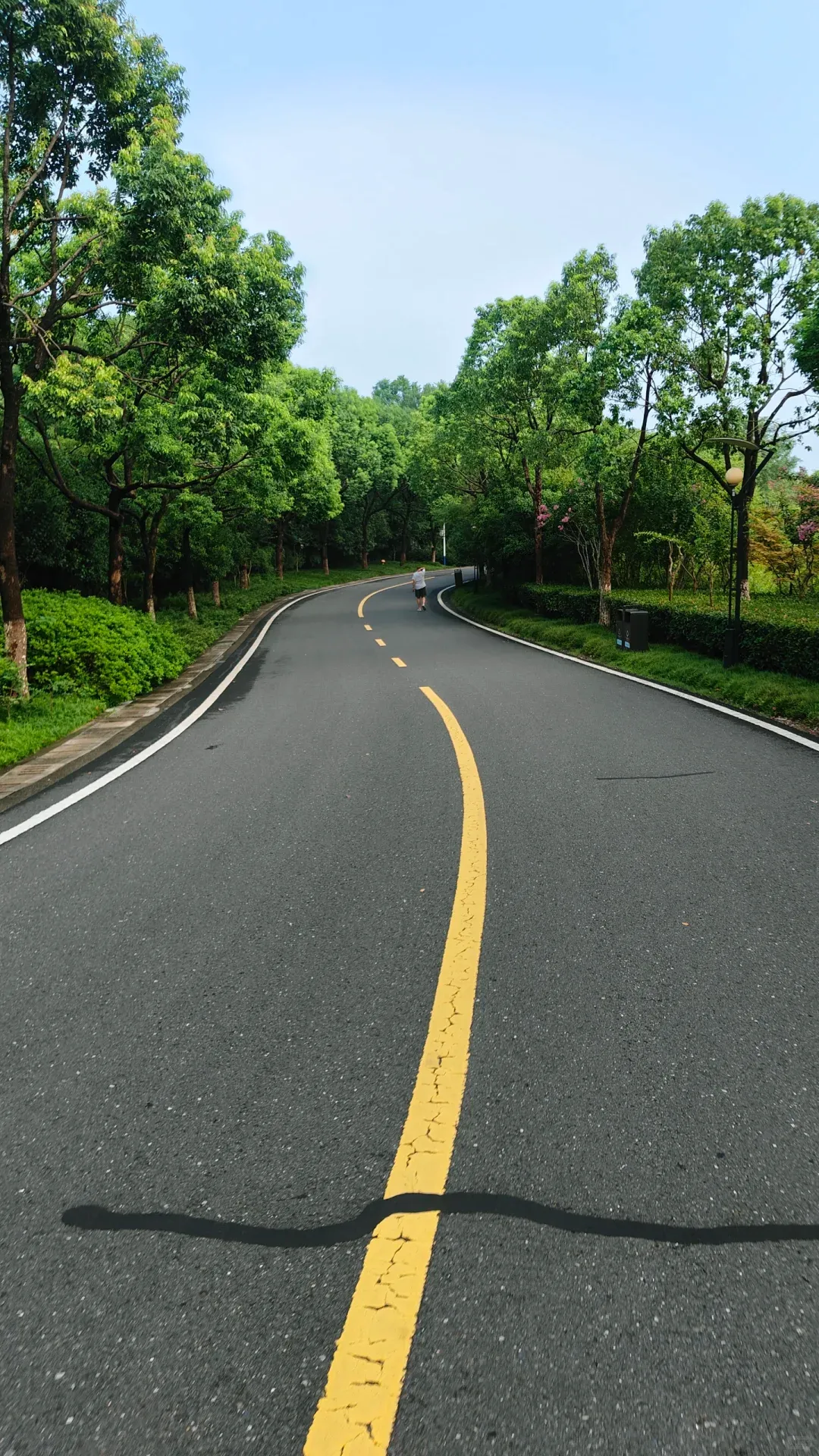 d73869606a30f8e80a079b8edc4bc33b-sz_3369992