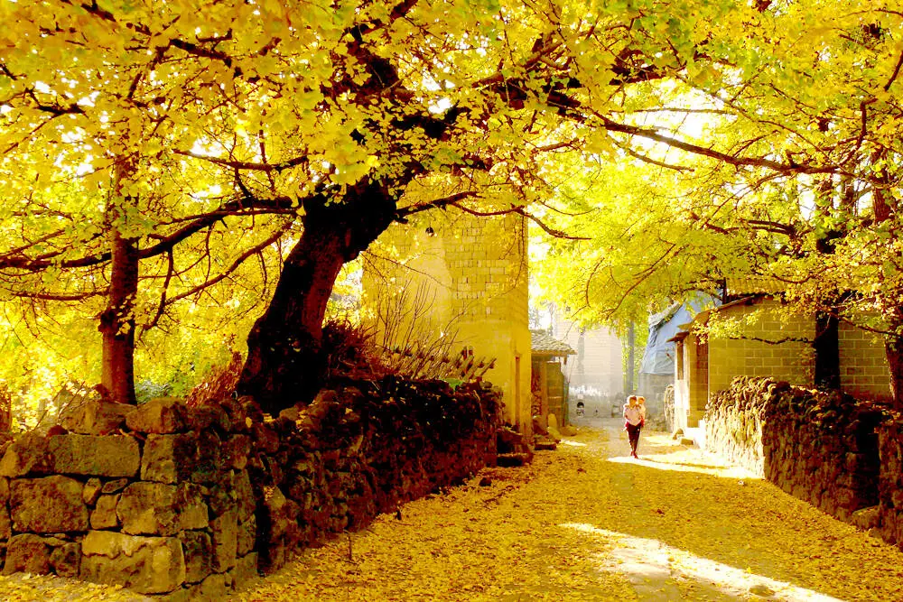 d749689e633646bd163fd95ac7e8860a-sz_300126 d749689e633646bd163fd95ac7e8860a-sz_300126