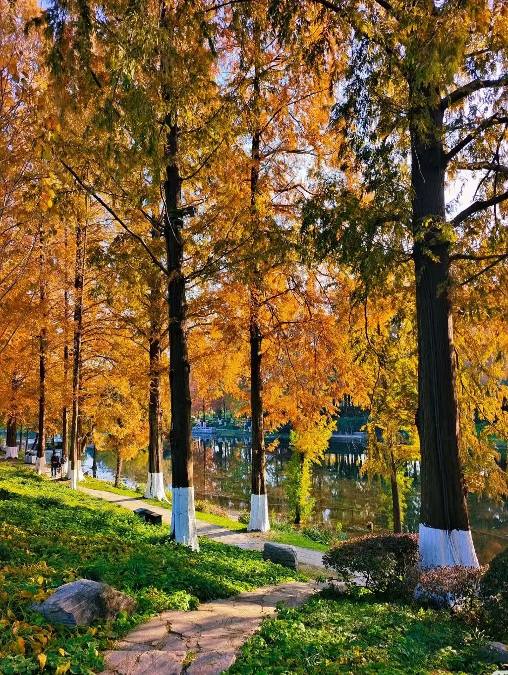 d76dfa87267cb1cd285739ccd7eb419b-sz_1535583 d76dfa87267cb1cd285739ccd7eb419b-sz_1535583