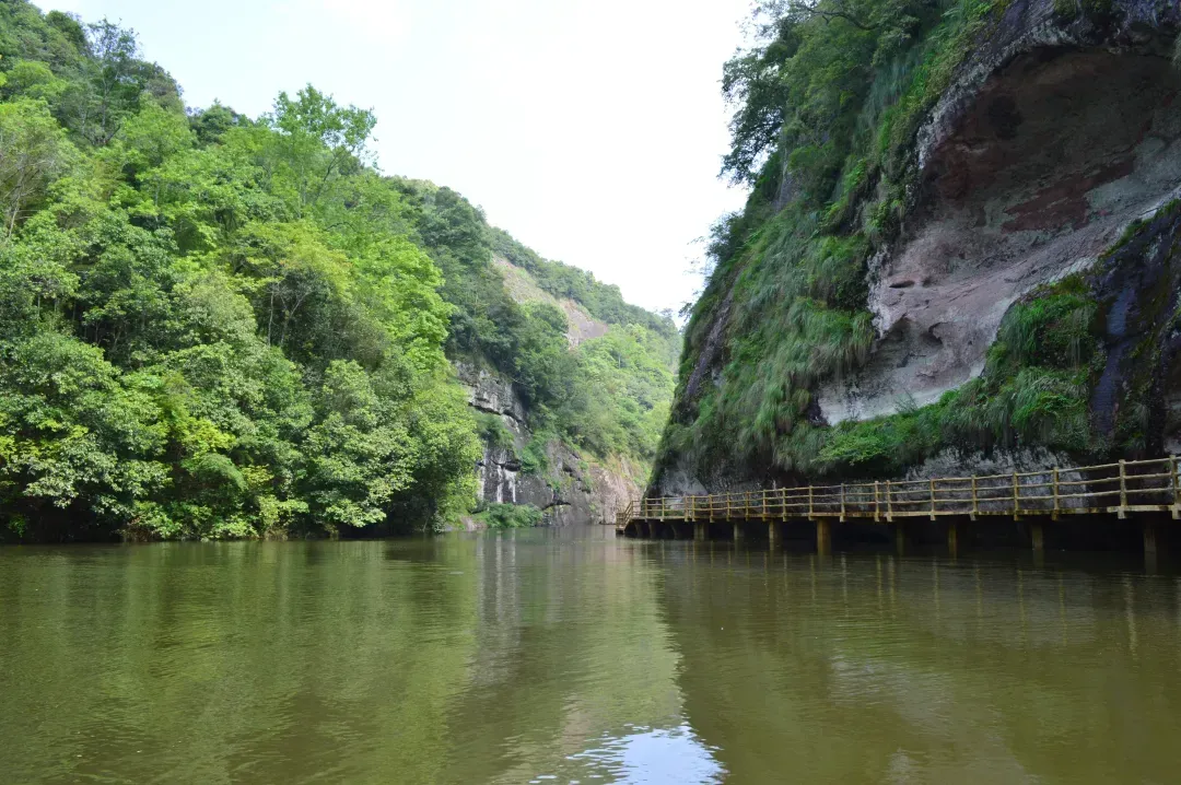 d7e3538ecfb1337b728ccc59b6bbc7f2-sz_1332511