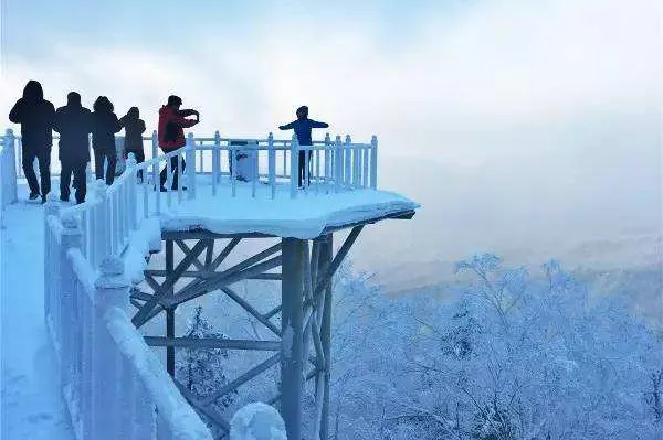 d80481f053bb09e102f12c49b5adbde2-sz_204251