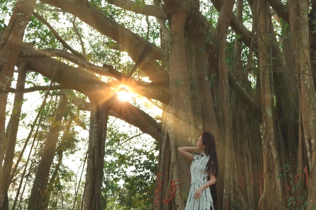 d86dc8cc0a91e5553e54e1dfba14b2b4-sz_2867207 d86dc8cc0a91e5553e54e1dfba14b2b4-sz_2867207