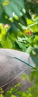 d871383ca638b14ac53a8e051b97ec28-sz_126525 d871383ca638b14ac53a8e051b97ec28-sz_126525