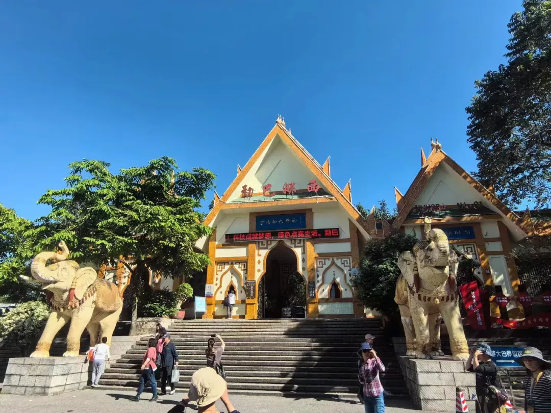 d8bfe4e4fb758509f56035c15563e216-sz_1133671