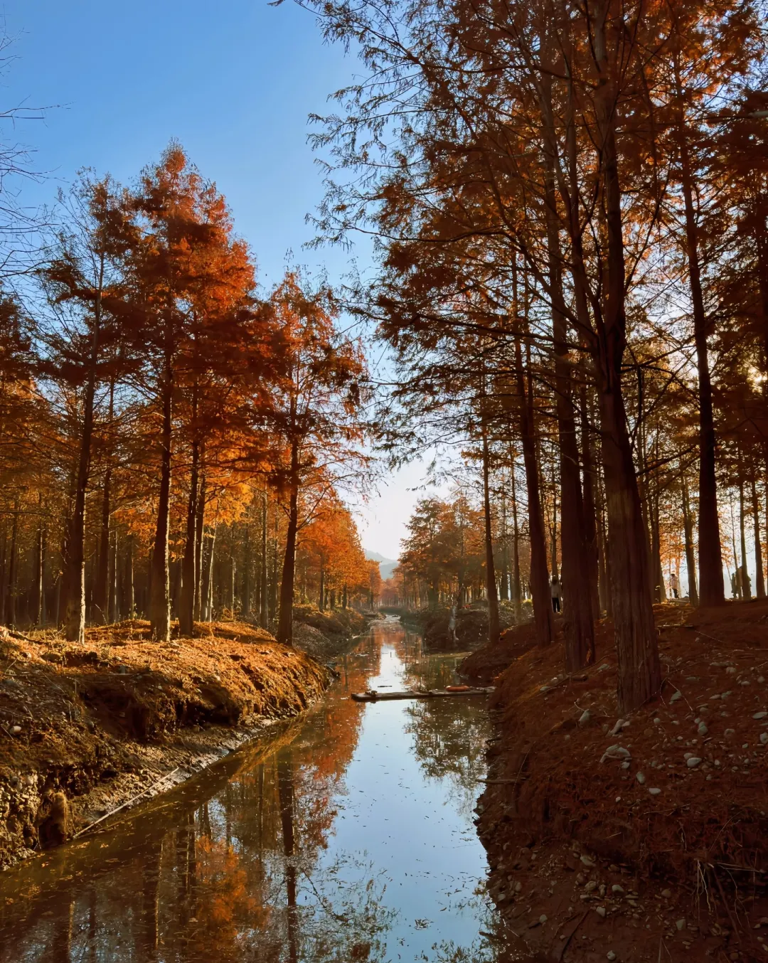 d92ac5c19ad32199984f983d2407ce05-sz_2255944