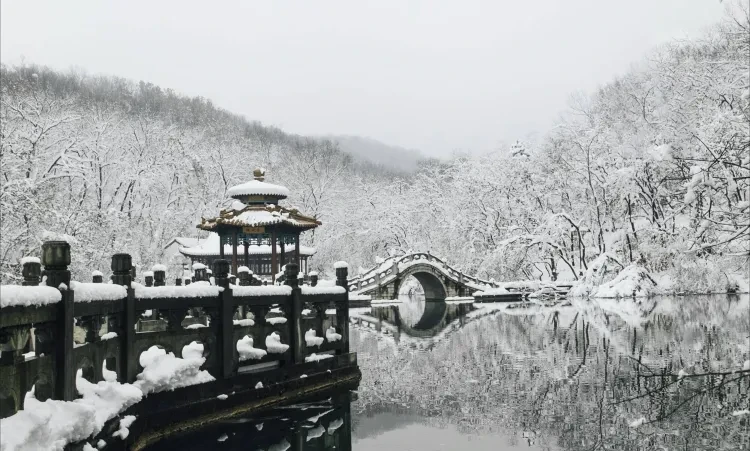 d92ea11d45bb58e6632379d7c6233d41-sz_1311118 d92ea11d45bb58e6632379d7c6233d41-sz_1311118