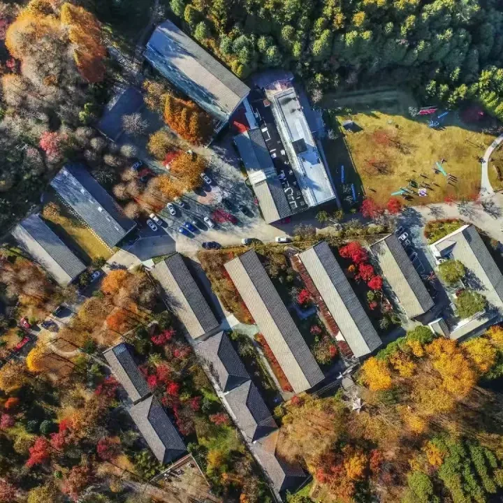 d95eb8f4145b89008a4c1b48dbbb1a35-sz_489110 d95eb8f4145b89008a4c1b48dbbb1a35-sz_489110