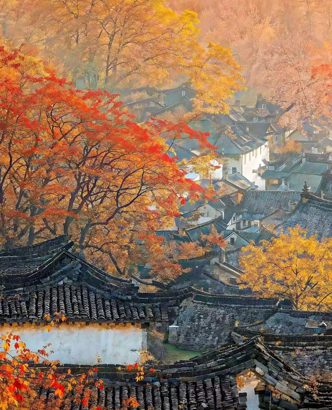 d993f0bffacd91a7adaf1a1e6807b52a-sz_726973