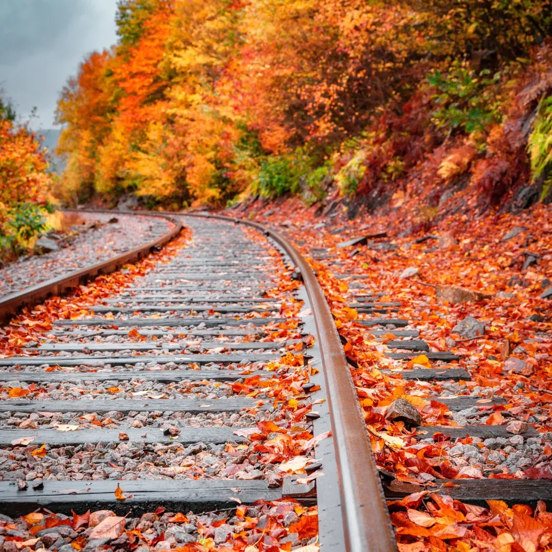 d9fbbb9fdb9f9b42710feb3e18929d07-sz_4804136