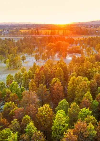 d9feb40468812ef471578f665104760d-sz_504337