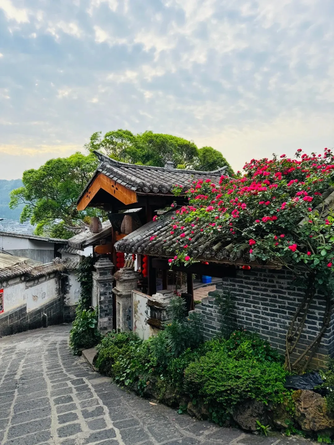 da1b88f9867169c06163541c783cab6f-sz_3405098-1 da1b88f9867169c06163541c783cab6f-sz_3405098-1