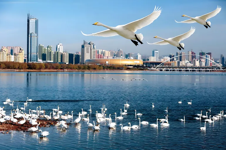 da3b4bee158a5d23a77dae8a9be152ea-sz_522220 da3b4bee158a5d23a77dae8a9be152ea-sz_522220