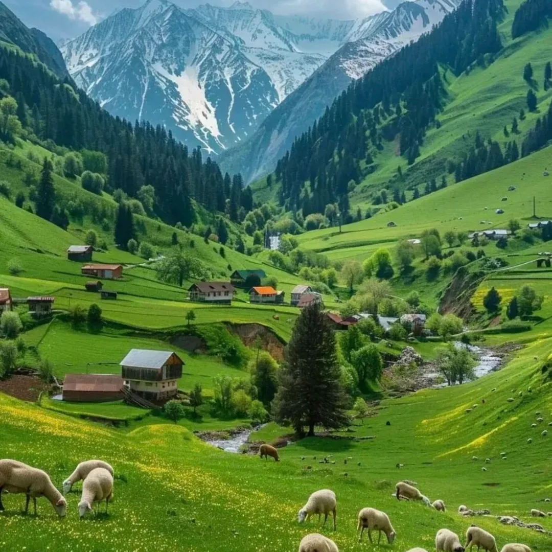 daa8747b7cf5aadfe32b6e2855ed7afd-sz_3315252