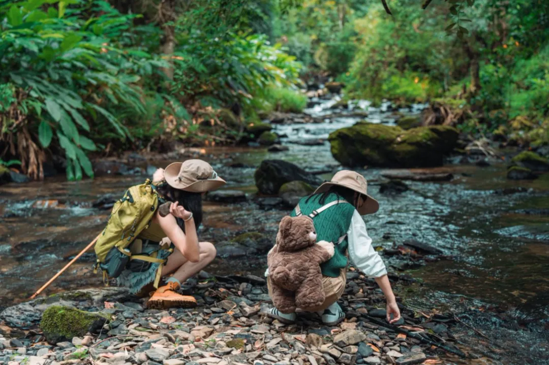 dab608bc4dcbb44383b2b201ff25ce44-sz_8784316 dab608bc4dcbb44383b2b201ff25ce44-sz_8784316