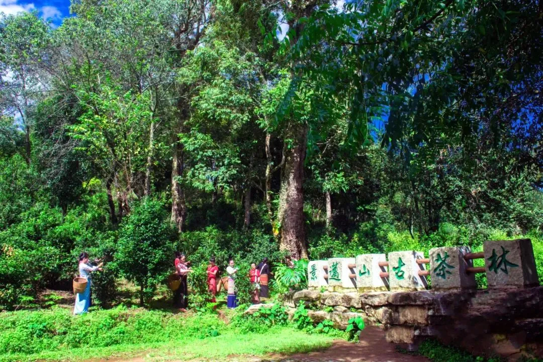 daf806485599bca67e3cfec3312adbe5-sz_258569