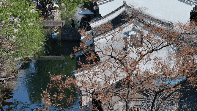 db0fec34d34df8efd3447dd713377bee-sz_2834201