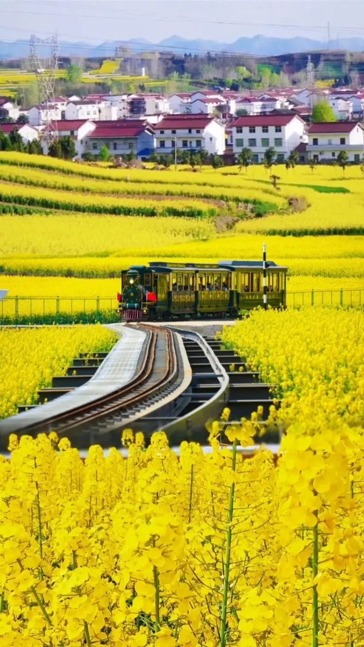 db2b79ab3984fe9bb9efe23d559f1276-sz_212038