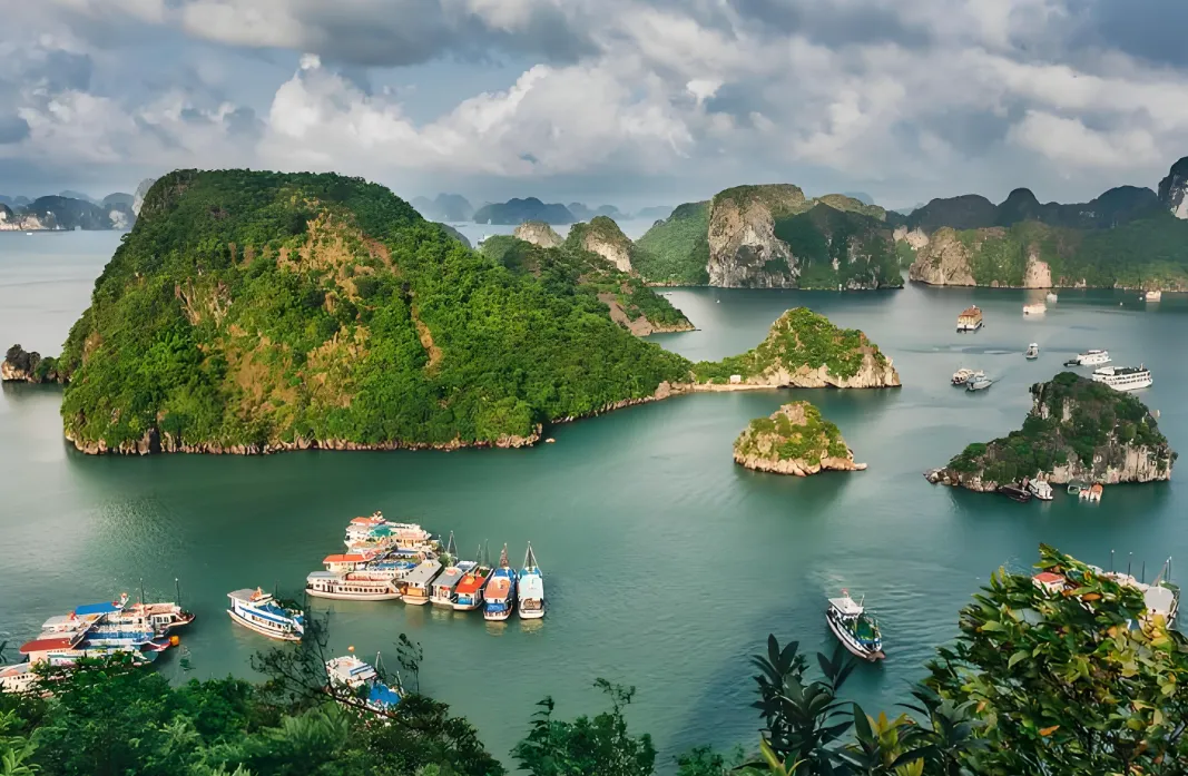 db5dc35252130a62f8e6d64db70369c0-sz_1300988 db5dc35252130a62f8e6d64db70369c0-sz_1300988