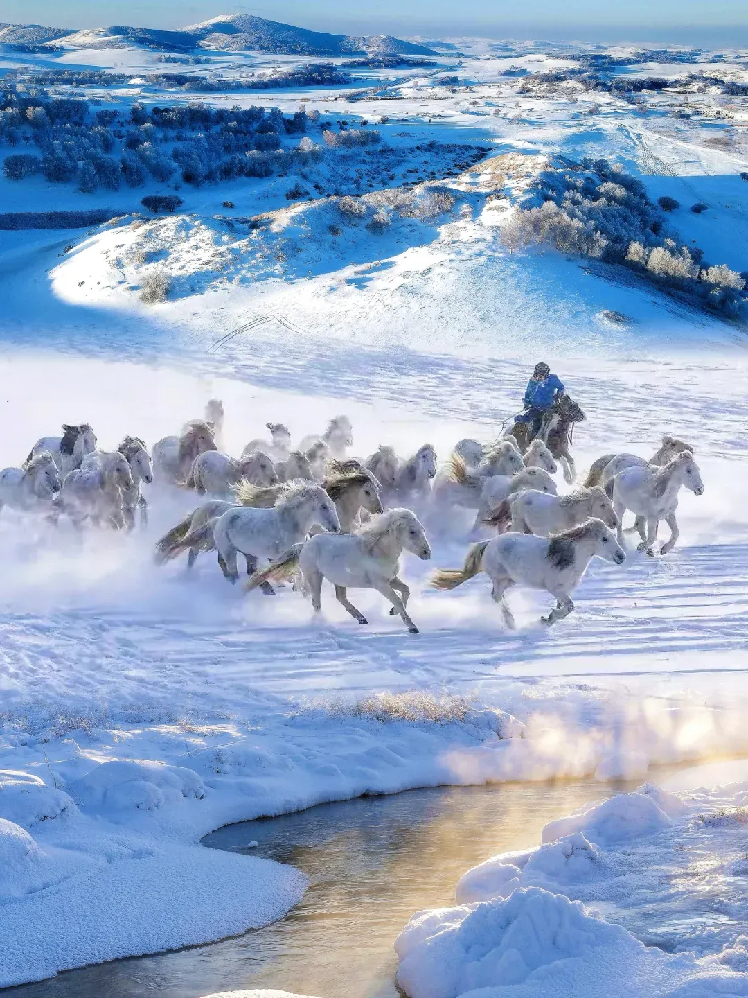 dbb231108dc4fa907727339c86893717-sz_3389870