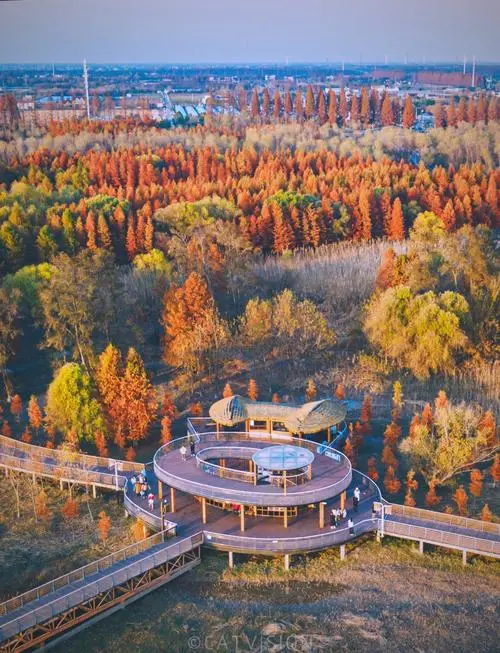 dbb50fbc6371a6c567014586b837decc-sz_84842 dbb50fbc6371a6c567014586b837decc-sz_84842