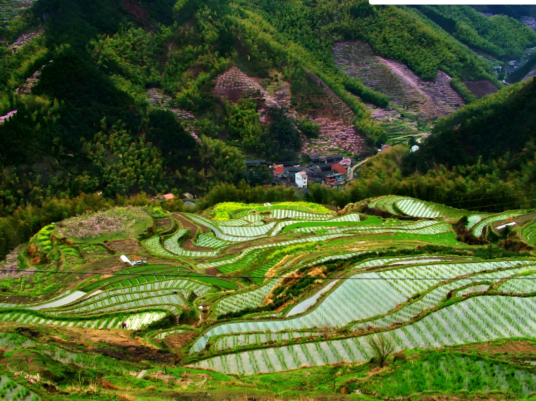 dc2fda6c3f5e435a125c5cc6bcf68dd9-sz_2556553