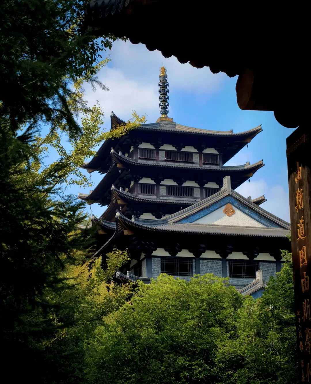 dc3eb1338ed7300b754362729d8ce4b0-sz_1764229