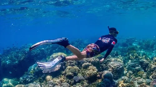 dcbd410f33076e5754a81ac6740404f3-sz_39381 dcbd410f33076e5754a81ac6740404f3-sz_39381