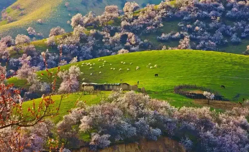 dcc4a45a900778cc1914a484ce08db65-sz_1160923