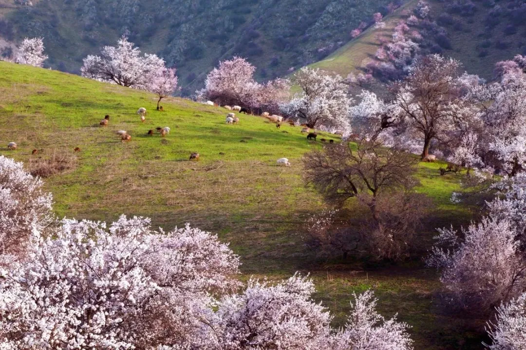 dd293dcdb72e7c304af11a7663116a78-sz_334061