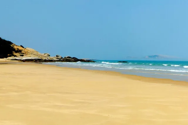 ddb63d74519275e6d7f21d40a4b0c511-sz_50318